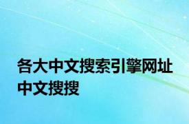 各大中文搜索引擎网址 中文搜搜 