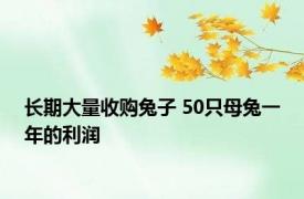 长期大量收购兔子 50只母兔一年的利润 