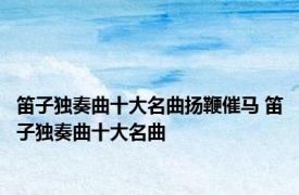 笛子独奏曲十大名曲扬鞭催马 笛子独奏曲十大名曲 