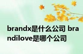 brandx是什么公司 brandilove是哪个公司 