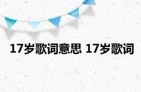 17岁歌词意思 17岁歌词 