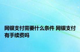 网银支付需要什么条件 网银支付有手续费吗 