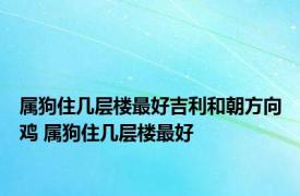 属狗住几层楼最好吉利和朝方向鸡 属狗住几层楼最好 