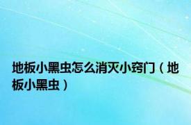 地板小黑虫怎么消灭小窍门（地板小黑虫）