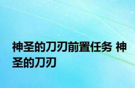 神圣的刀刃前置任务 神圣的刀刃 