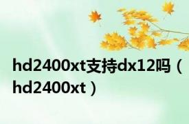 hd2400xt支持dx12吗（hd2400xt）