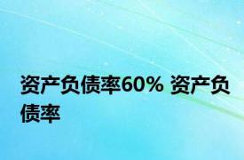 资产负债率60% 资产负债率 