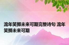 流年笑掷未来可期完整诗句 流年笑掷未来可期 