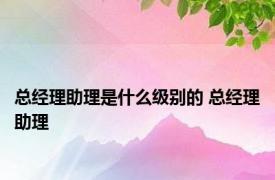 总经理助理是什么级别的 总经理助理 