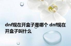 dnf现在开盒子是哪个 dnf现在开盒子叫什么 