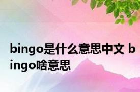 bingo是什么意思中文 bingo啥意思 