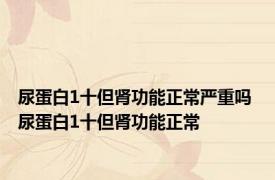 尿蛋白1十但肾功能正常严重吗 尿蛋白1十但肾功能正常 