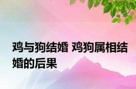 鸡与狗结婚 鸡狗属相结婚的后果 