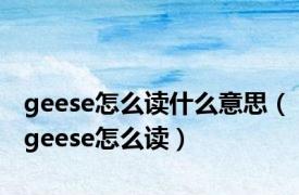 geese怎么读什么意思（geese怎么读）