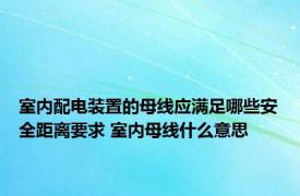 室内配电装置的母线应满足哪些安全距离要求 室内母线什么意思 