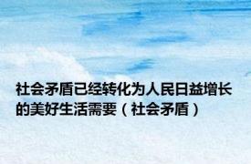 社会矛盾已经转化为人民日益增长的美好生活需要（社会矛盾）