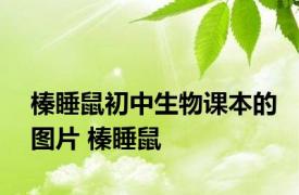 榛睡鼠初中生物课本的图片 榛睡鼠 