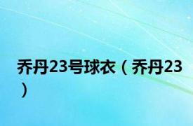 乔丹23号球衣（乔丹23）