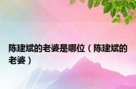 陈建斌的老婆是哪位（陈建斌的老婆）