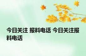 今日关注 报料电话 今日关注报料电话 