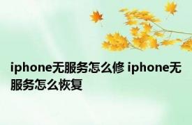 iphone无服务怎么修 iphone无服务怎么恢复 