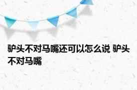 驴头不对马嘴还可以怎么说 驴头不对马嘴 