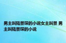 男主叫陆景琛的小说女主叫景 男主叫陆景琛的小说 