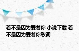 若不是因为爱着你 小说下载 若不是因为爱着你歌词 