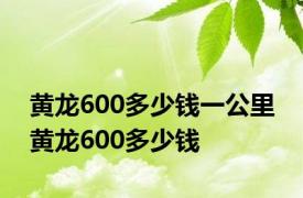 黄龙600多少钱一公里 黄龙600多少钱 