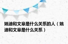 姚迪和文章是什么关系的人（姚迪和文章是什么关系）