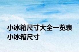 小冰箱尺寸大全一览表 小冰箱尺寸 