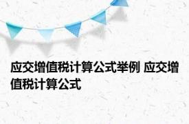 应交增值税计算公式举例 应交增值税计算公式 