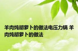 羊肉炖胡萝卜的做法电压力锅 羊肉炖胡萝卜的做法 