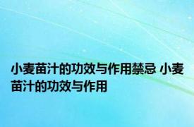 小麦苗汁的功效与作用禁忌 小麦苗汁的功效与作用 