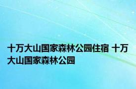 十万大山国家森林公园住宿 十万大山国家森林公园 