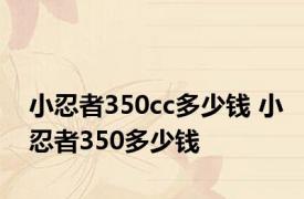 小忍者350cc多少钱 小忍者350多少钱 