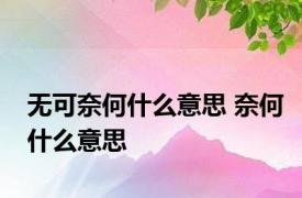 无可奈何什么意思 奈何什么意思 