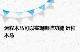 远程木马可以实现哪些功能 远程木马 