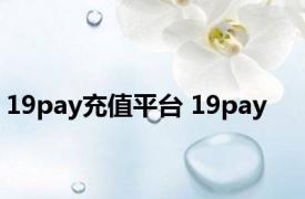 19pay充值平台 19pay 