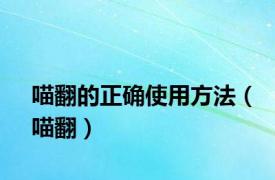 喵翻的正确使用方法（喵翻）