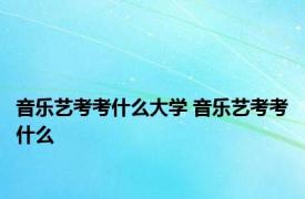 音乐艺考考什么大学 音乐艺考考什么 