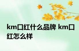 km口红什么品牌 km口红怎么样 