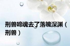 刑兽啼魂去了落魄深渊（刑兽）