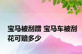 宝马被刮蹭 宝马车被刮花可赔多少 