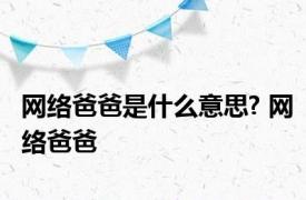 网络爸爸是什么意思? 网络爸爸 