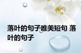 落叶的句子唯美短句 落叶的句子 