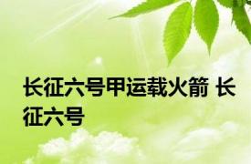 长征六号甲运载火箭 长征六号 