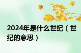 2024年是什么世纪（世纪的意思）