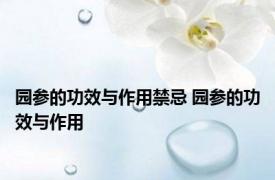 园参的功效与作用禁忌 园参的功效与作用 