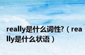 really是什么词性?（really是什么状语）